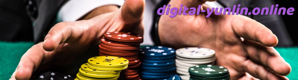 digital-yunlin.online